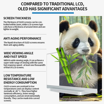Commercial Desktop Type Smart Oled Advertising Tv Android Hd 55 Inch Transparent Oled Screen Display Tv
